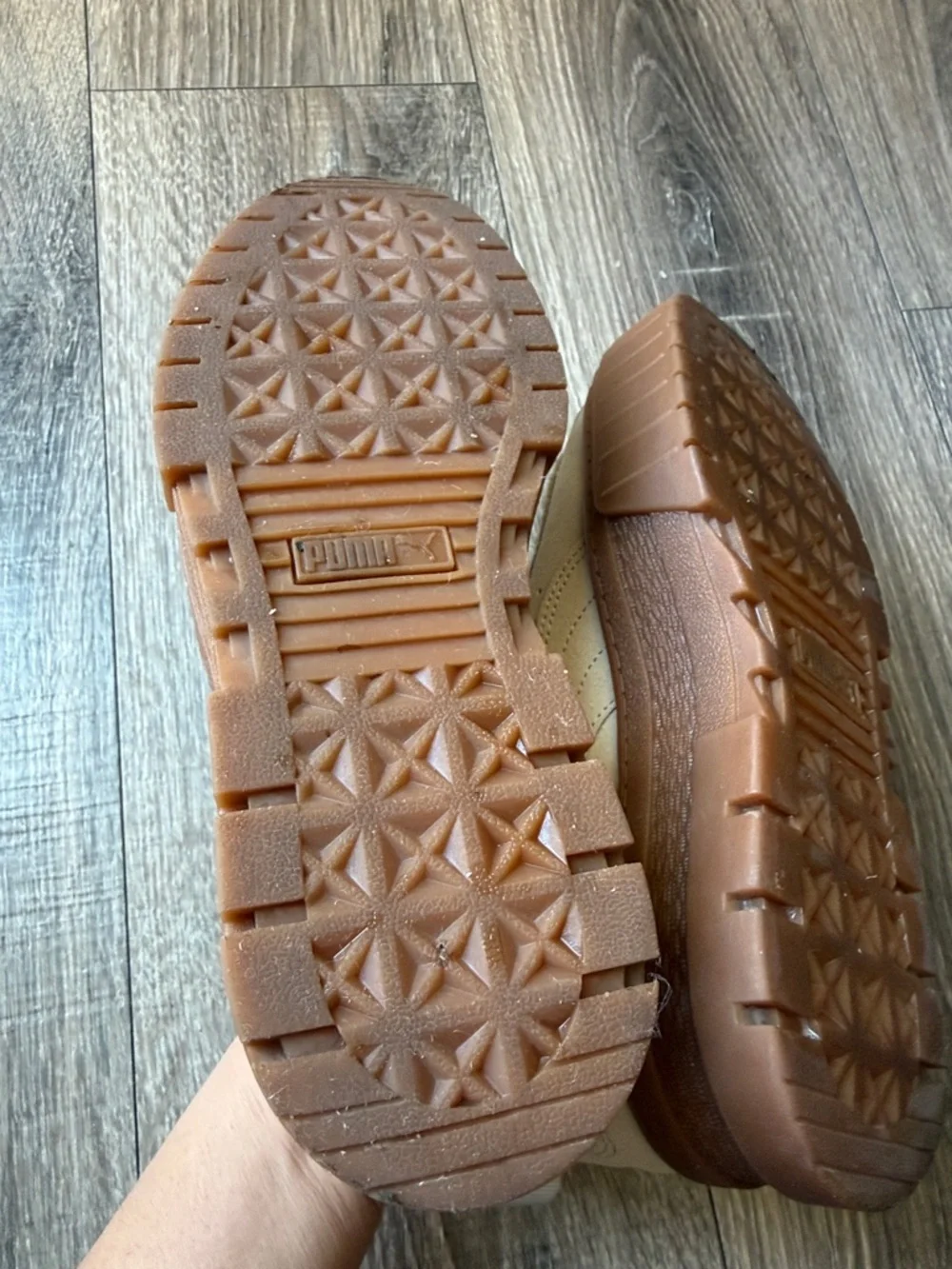Puma reposhing this
